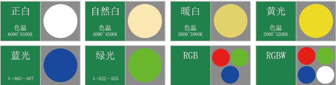 如何挑選合適你的泳池燈